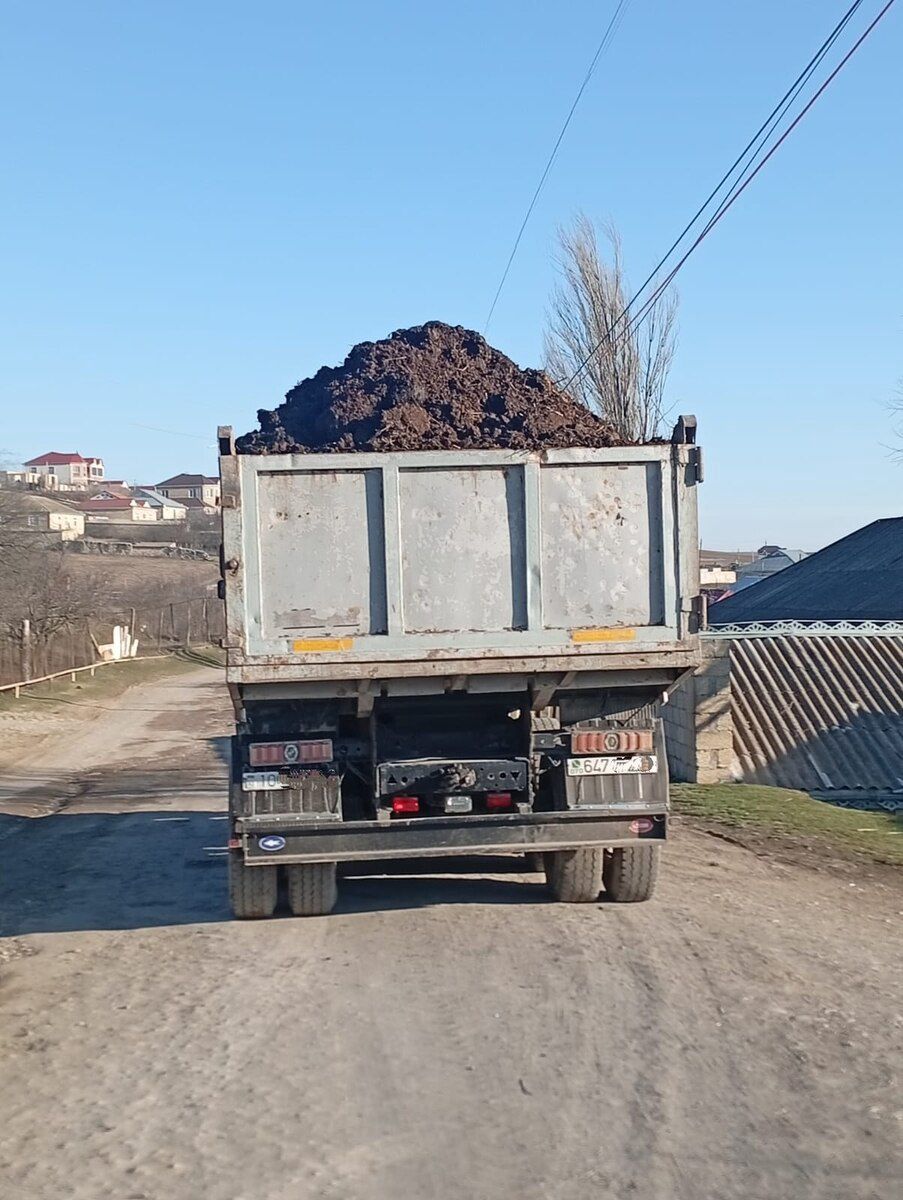 Peyin — Dacha və bağ, Şamaxı