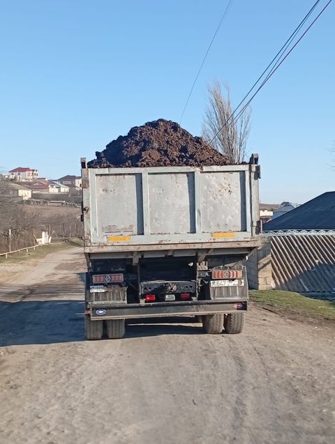 Peyin — Şamaxı