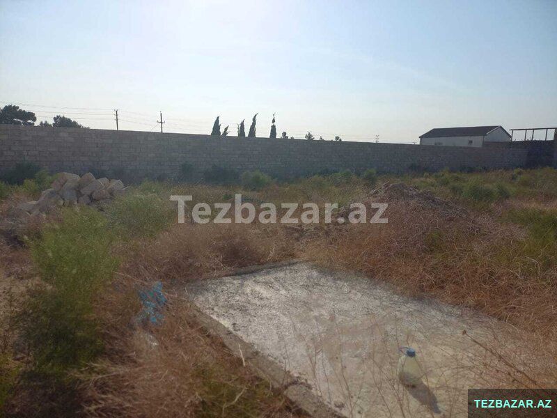 12 sot torpaq satılır, Zirə (Dəniz kənarı) — Torpaq, Bakı (2)