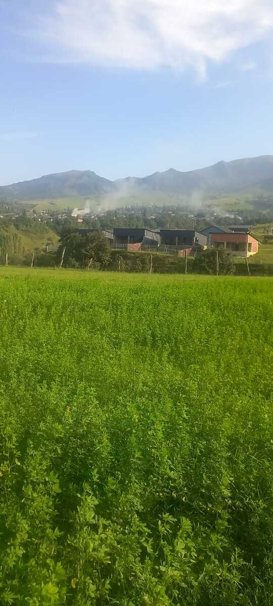 40 sot torpaq sahəsi, Qusar r — Torpaq, Qusar (9)