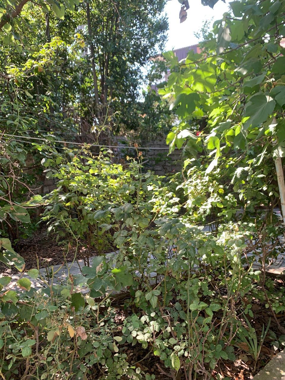 3 otaqlı ev, 38 m², Şamil Əzizbəyov küçəsi — Ev, villa, Bakı (12)