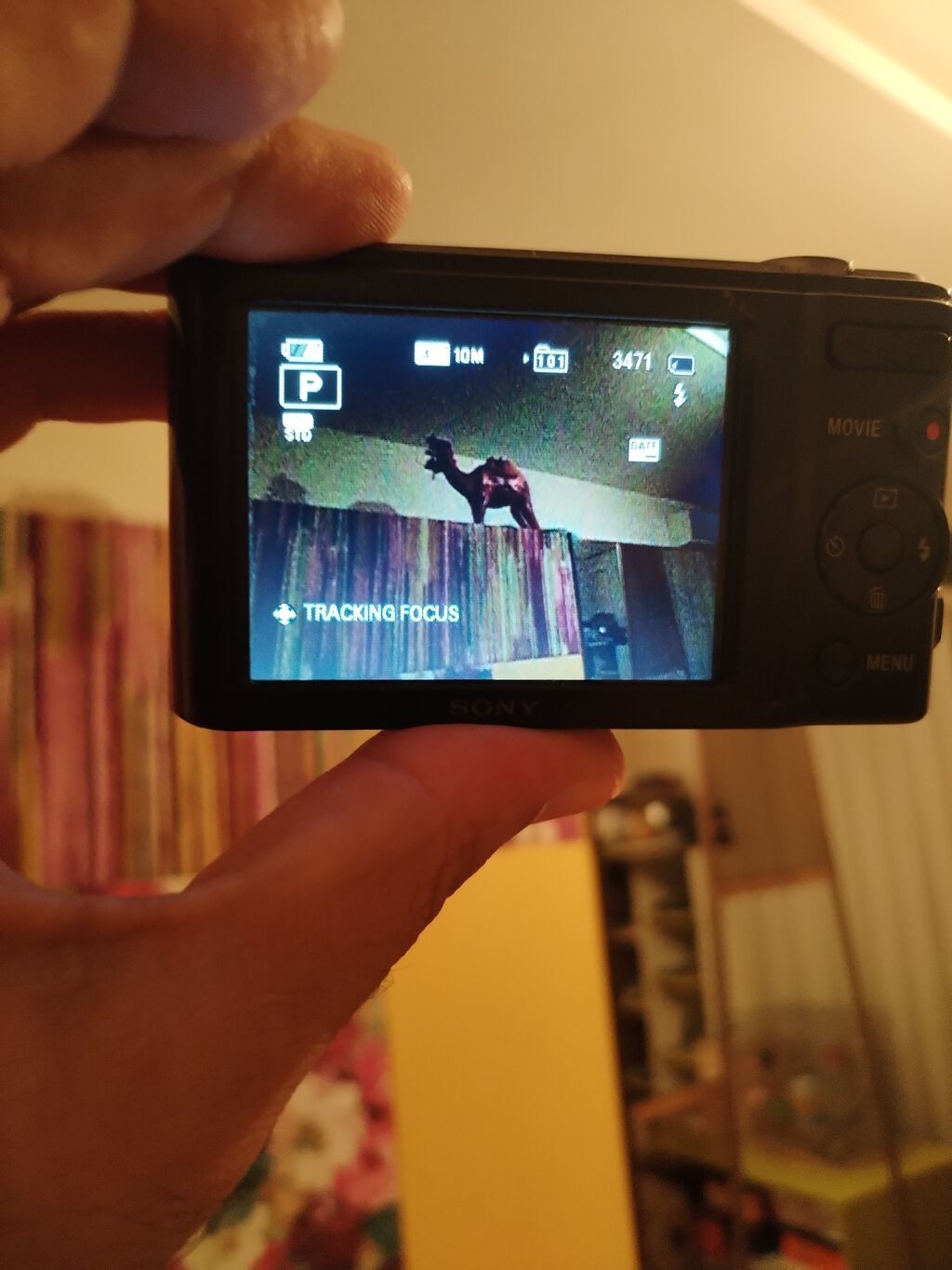 Sony Cyber-shot Dsc W800 20.1 megapixel reqemsal fotoaparat tam islek — Fotoaparat, Bakı (4)