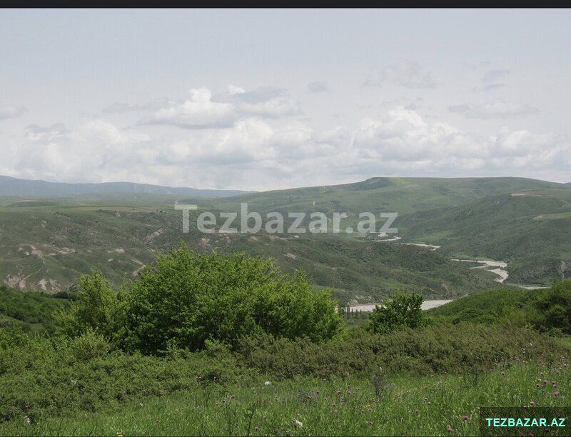 Şamaxıda Torpaq — Torpaq, Şamaxı (5)