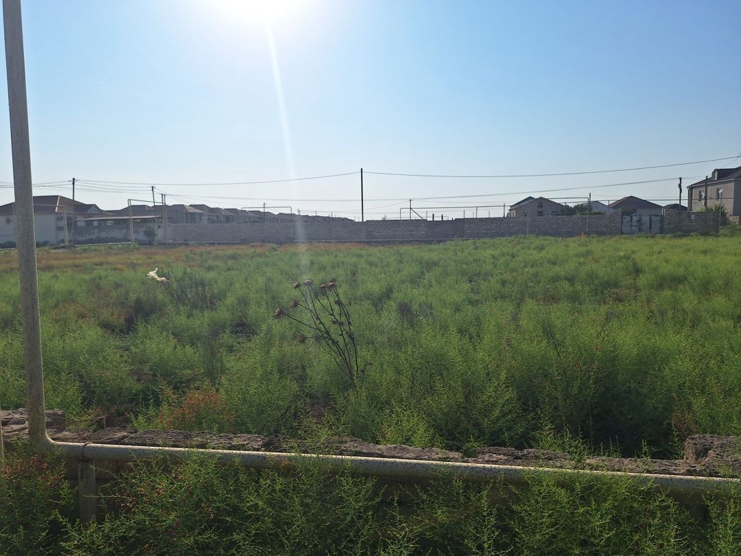 Satılır torpaq 20 sot — Torpaq, Bakı (5)