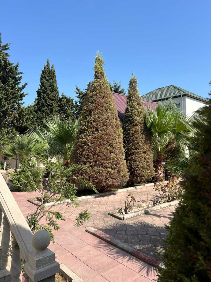 Satılır 8 otaqlı həyət evi/bağ evi 400 m² — Ev, villa, Bakı (5)