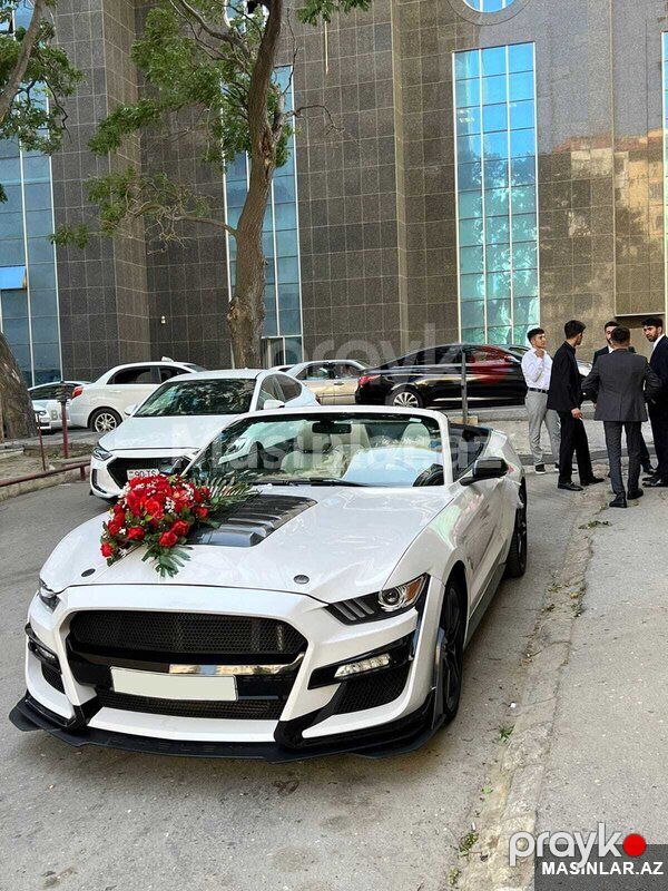 Ford Mustang, 2019 il — Minik avtomobili icarəsi, Bakı (2)