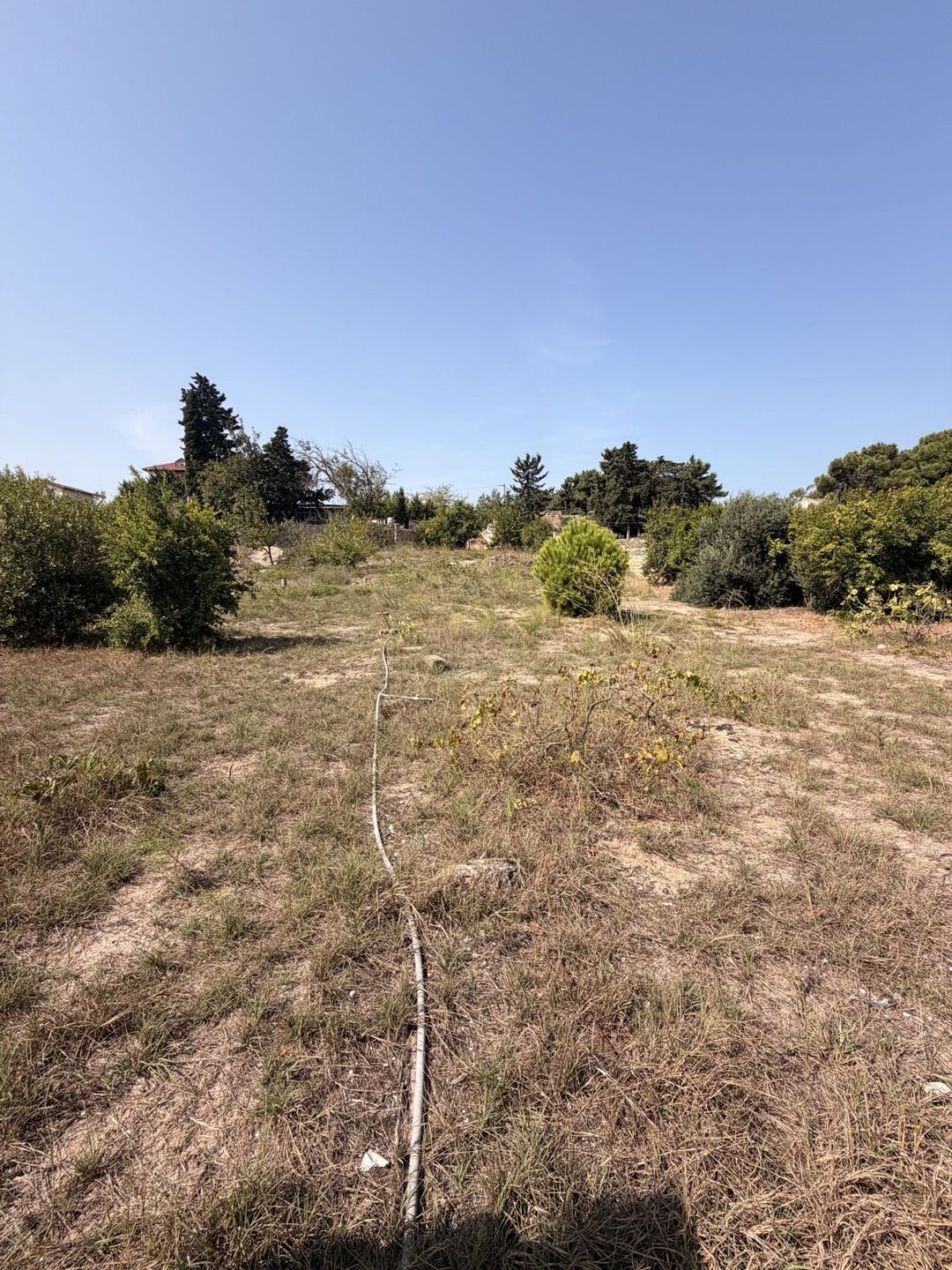 Satılır torpaq 12 sot — Torpaq, Bakı (9)