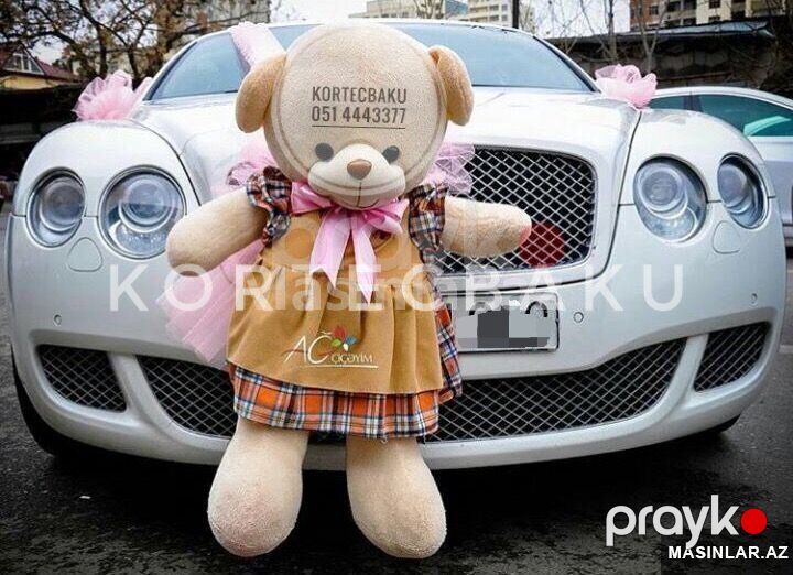 Bentley Coupe, 2012 il — Minik avtomobili icarəsi, Bakı (3)