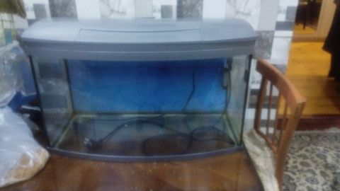 Akvarium — Bakı