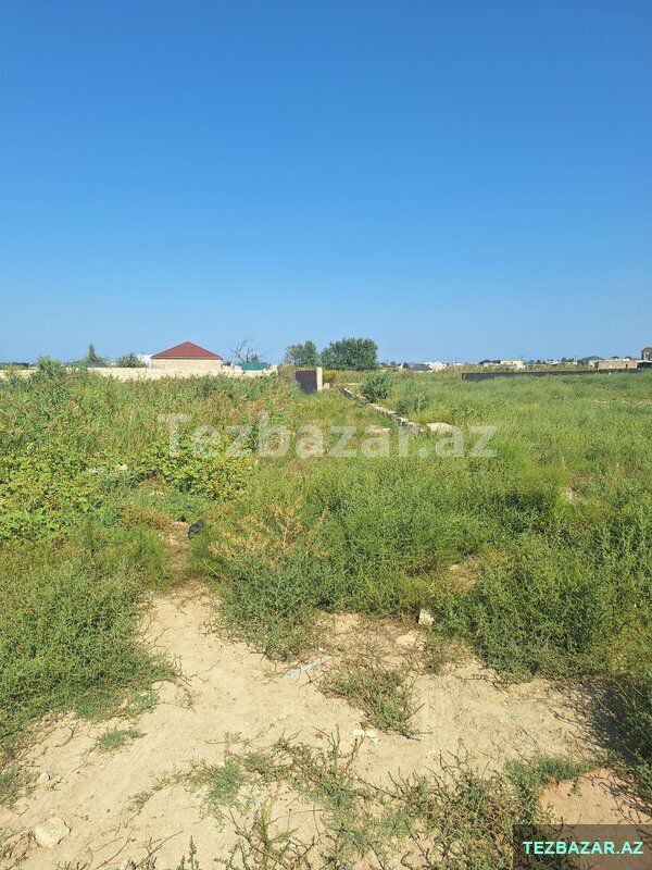 Nardaran Lehic bağları seabrezze masivi — Torpaq, Bakı (10)