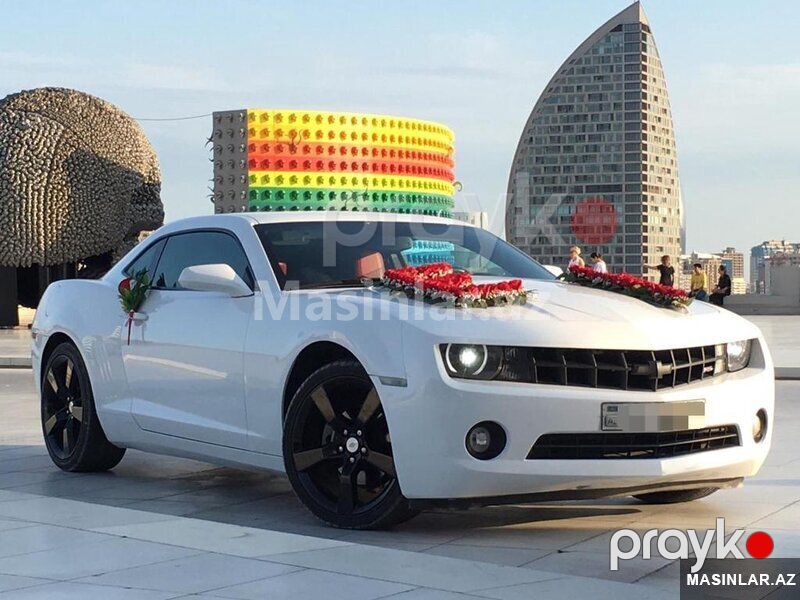 Chevrolet Camaro toy maşıni — Minik avtomobili icarəsi, Bakı (2)