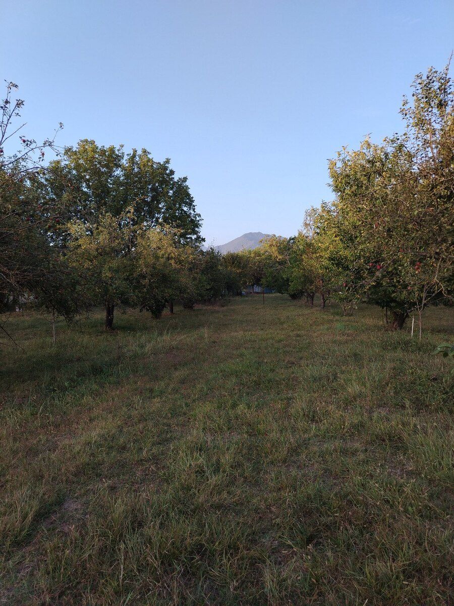 29 sot torpaq sahəsi, Qəbələ ş — Torpaq, Qəbələ (4)