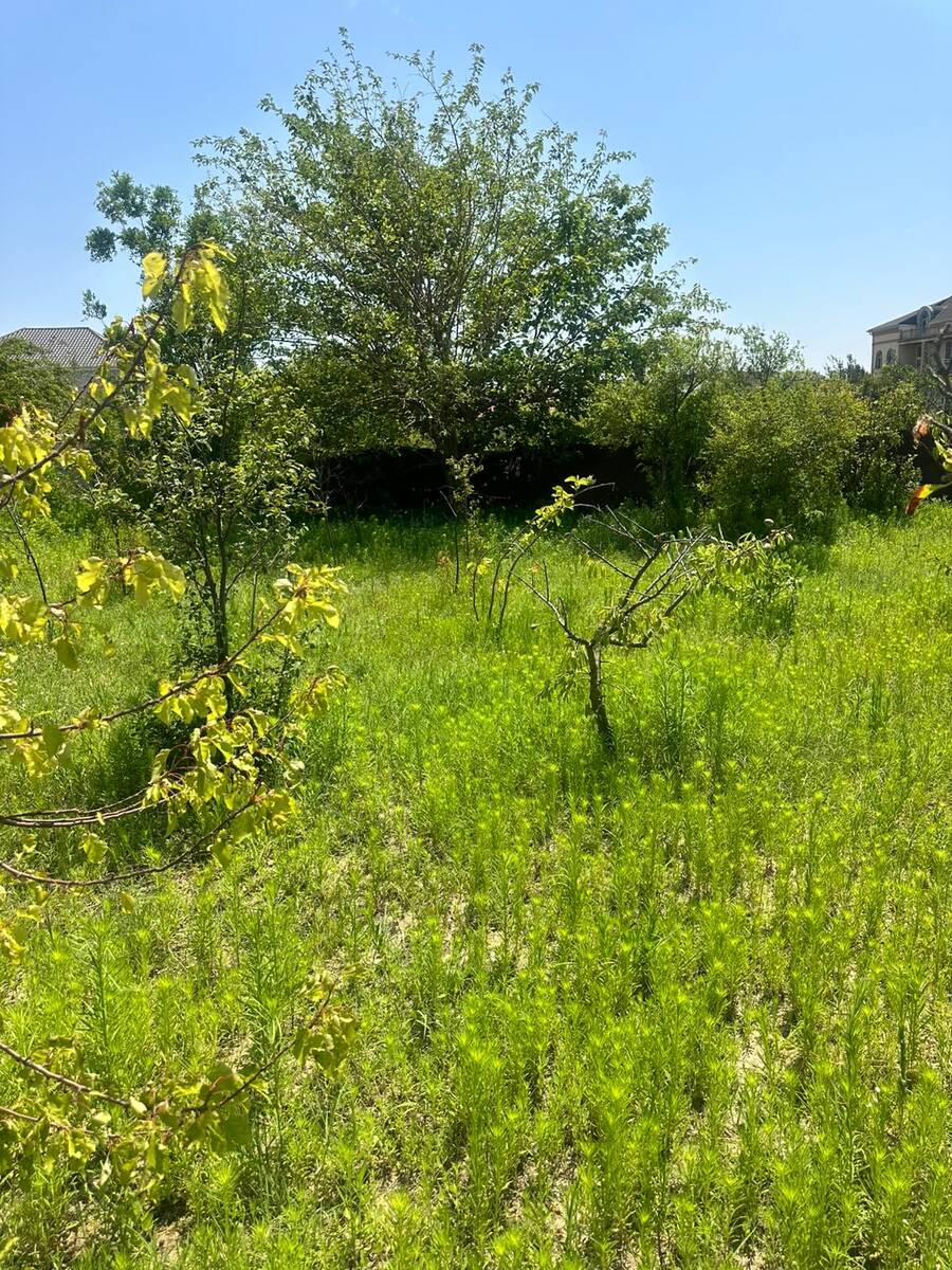 2.5 sot torpaq sahəsi, Novxanı bağları — Torpaq, Bakı (2)