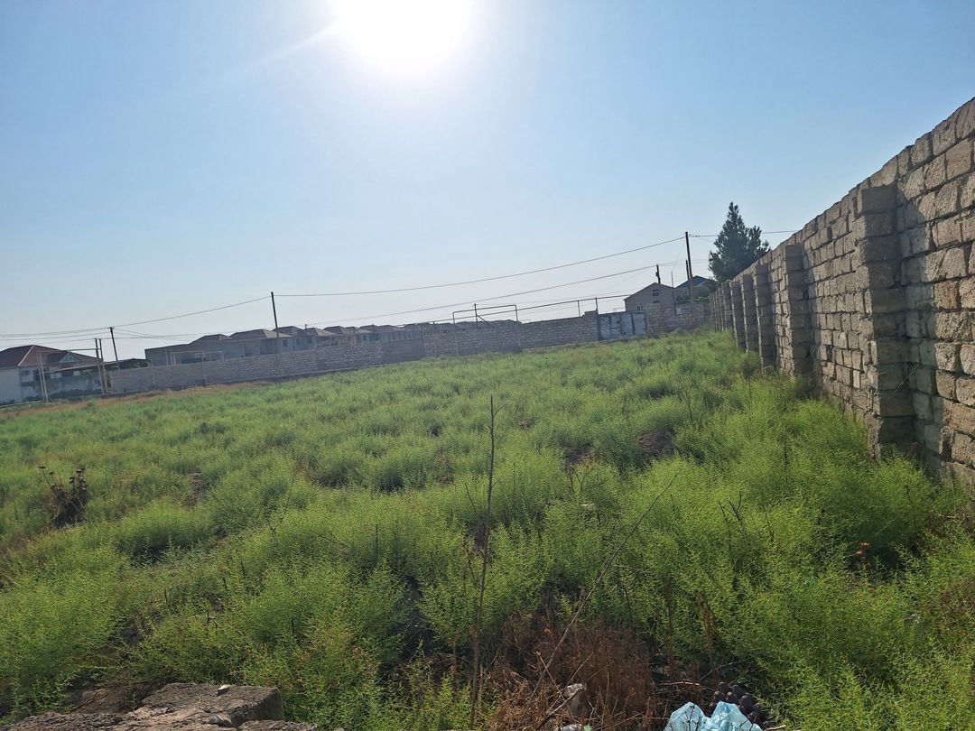 Satılır torpaq 20 sot — Torpaq, Bakı (6)
