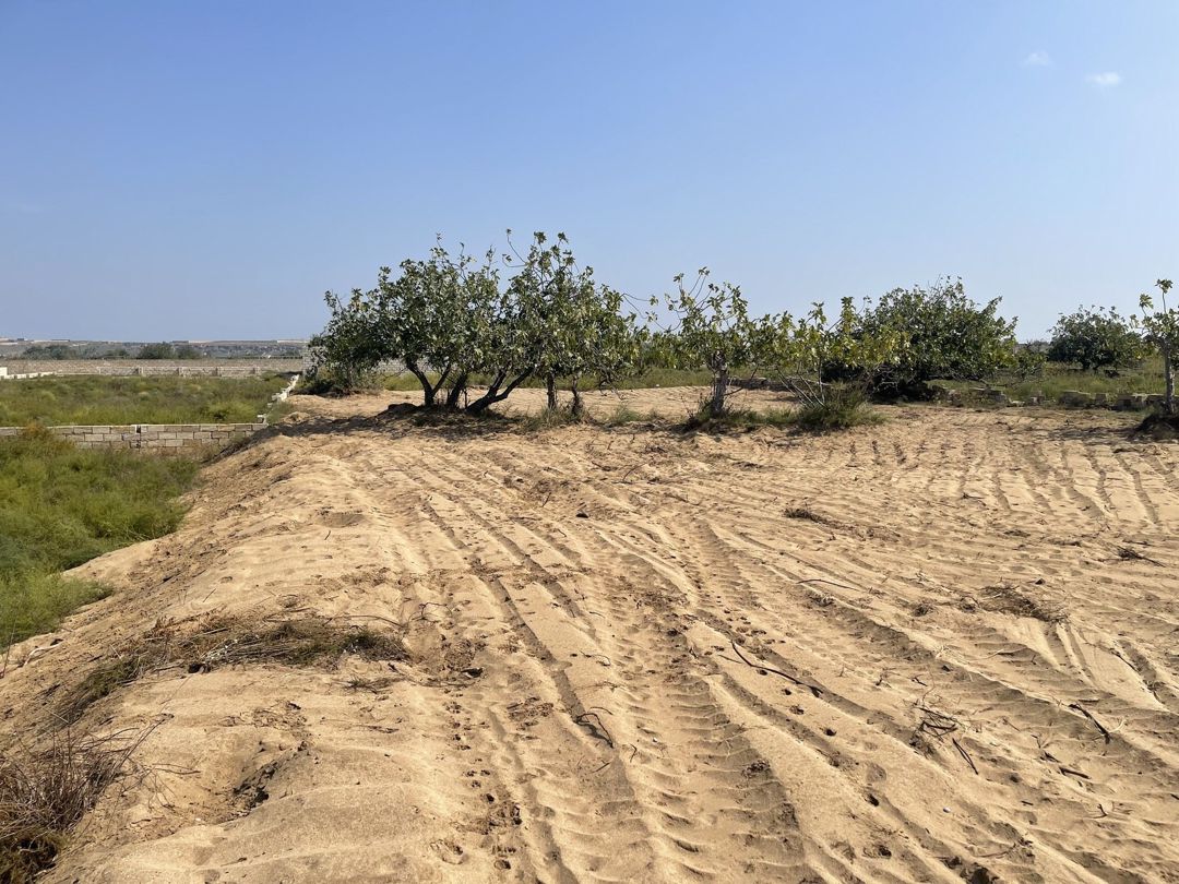 12 sot torpaq sahəsi, Nardaran qəs — Torpaq, Bakı (2)