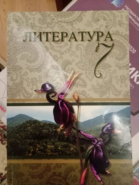 Məhsul: “Литература 7” – 7-ci sinif üçün ədəbiyyat dərsliyi (rus — Bakı