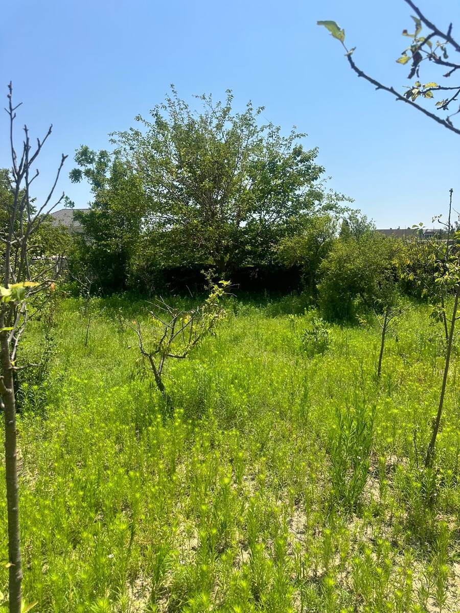 2.5 sot torpaq sahəsi, Novxanı bağları — Torpaq, Bakı (5)