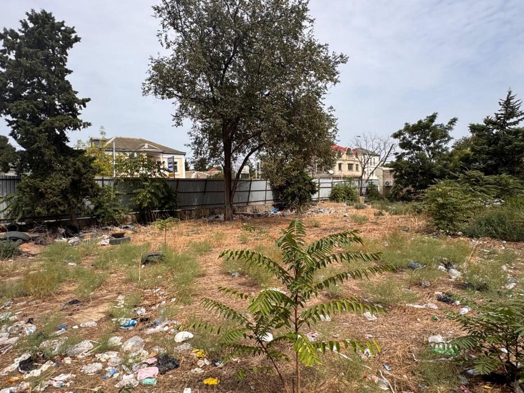 Satılır torpaq 31 sot — Torpaq, Bakı (11)