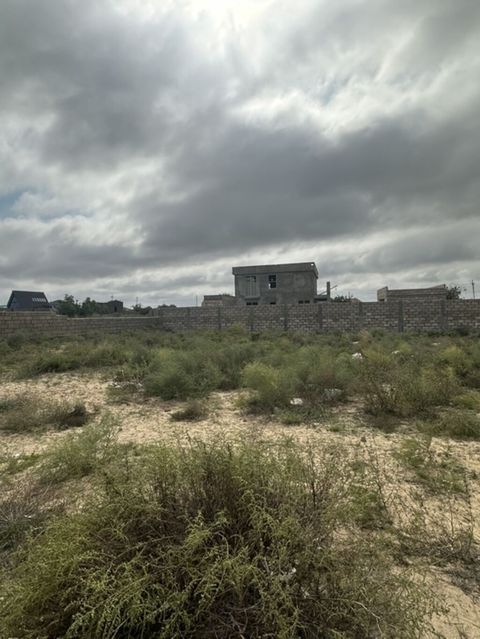 Tikinti — Bakı