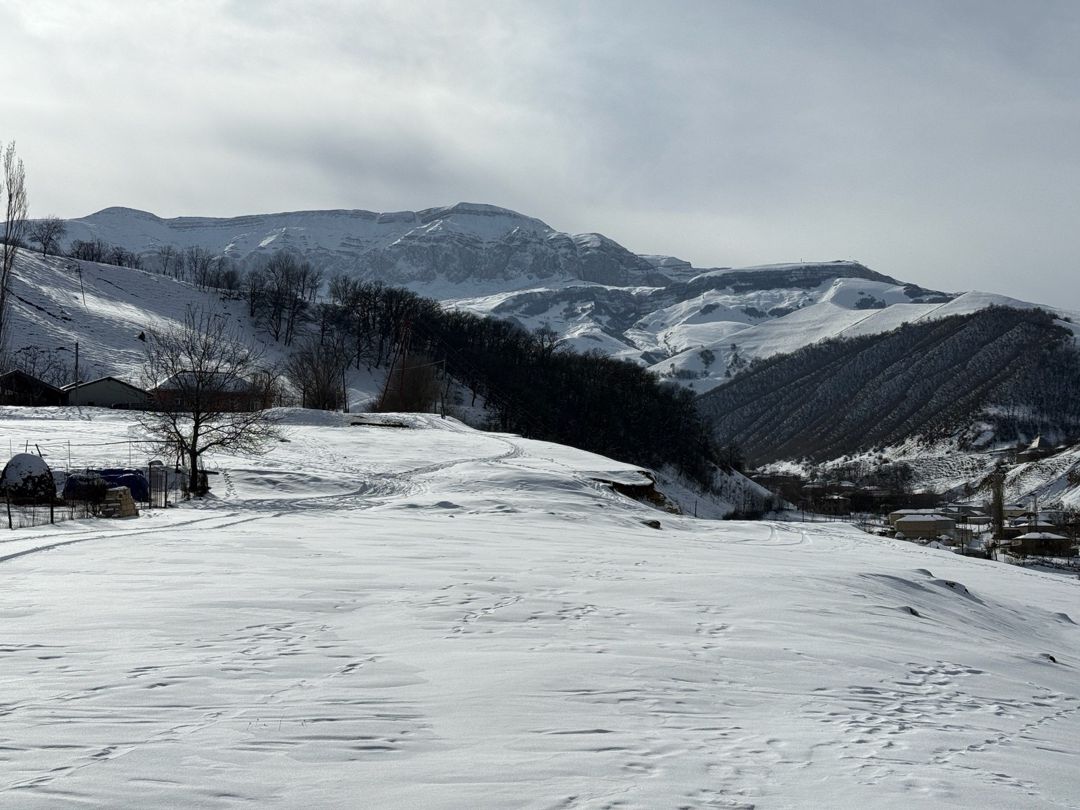 12 sot torpaq sahəsi, Qusar r — Torpaq, Qusar (11)