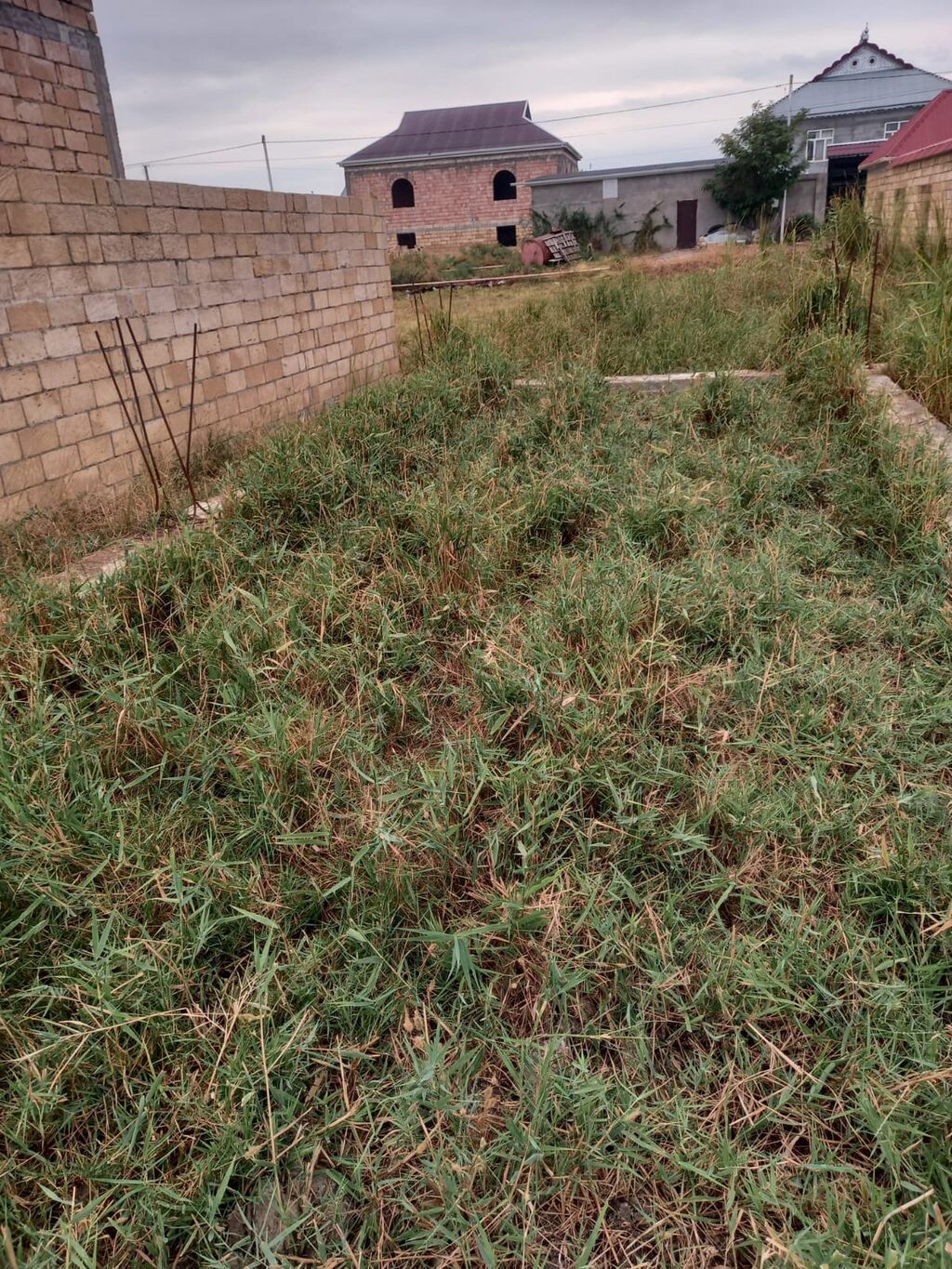 5 sot, Tikinti, Mülkiyyətçi, Kupça (Çıxarış) — Torpaq, Ağsu (6)