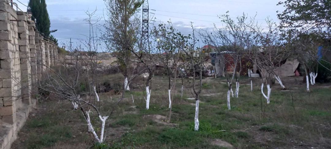 Satılır 1 otaqlı həyət evi/bağ evi 40 m² — Ev, villa, Bakı (3)