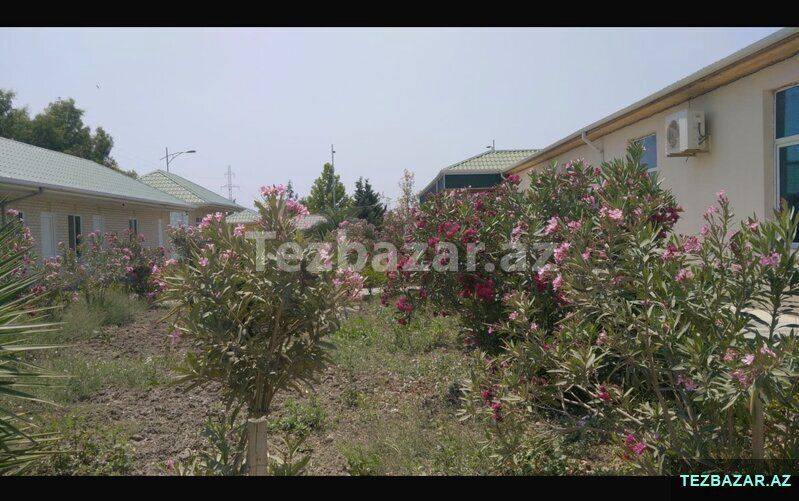 Ələt qəs. Restoran Satılır — Torpaq, Salyan (5)