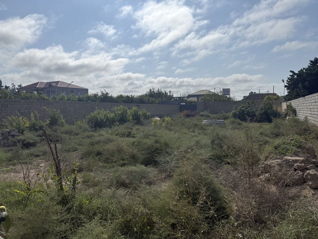 Satılır torpaq 11 sot — Torpaq, Bakı (3)