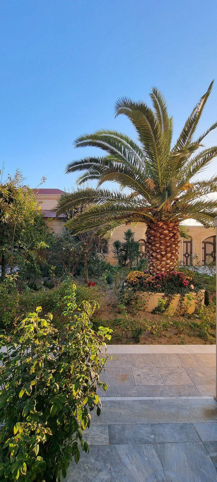 Satılır 10 otaqlı həyət evi/bağ evi 800 m² — Ev, villa, Bakı (11)