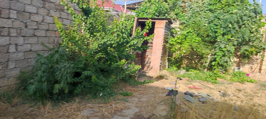 2 sot, Tikinti, Mülkiyyətçi, Kupça (Çıxarış) — Torpaq, Digah (5)