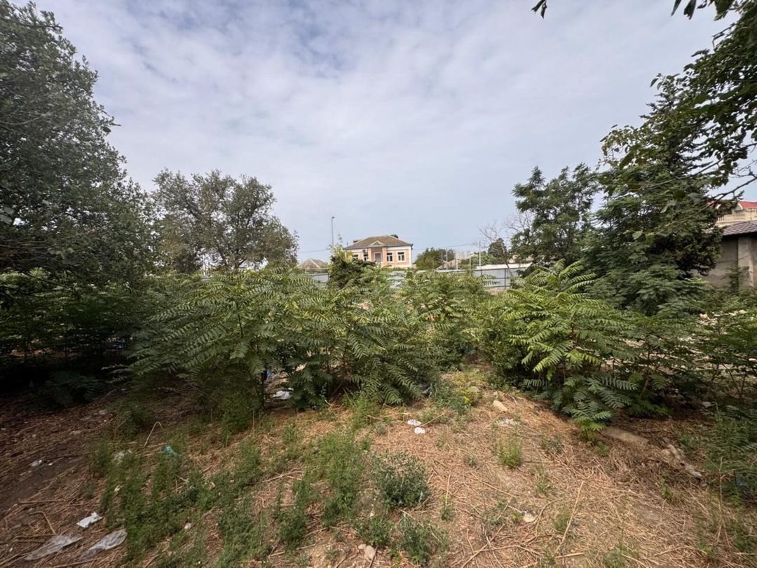 Satılır torpaq 31 sot — Torpaq, Bakı (9)
