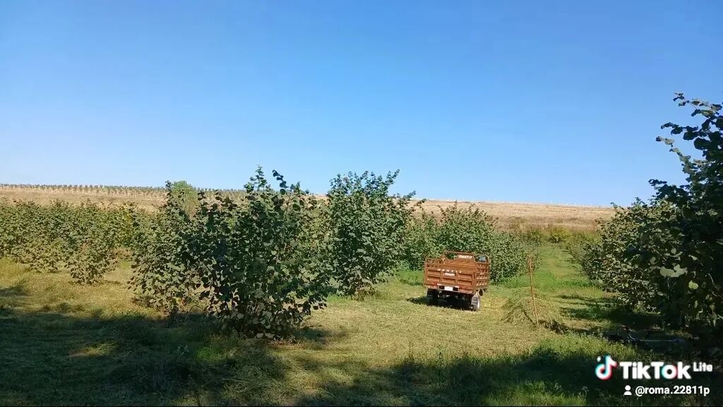 Kənd təsərrüfatı — Torpaq, Bakı (2)