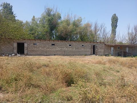 Kənd təsərrüfatı, Kommunal xətlər qoşulmayıb — Şabran
