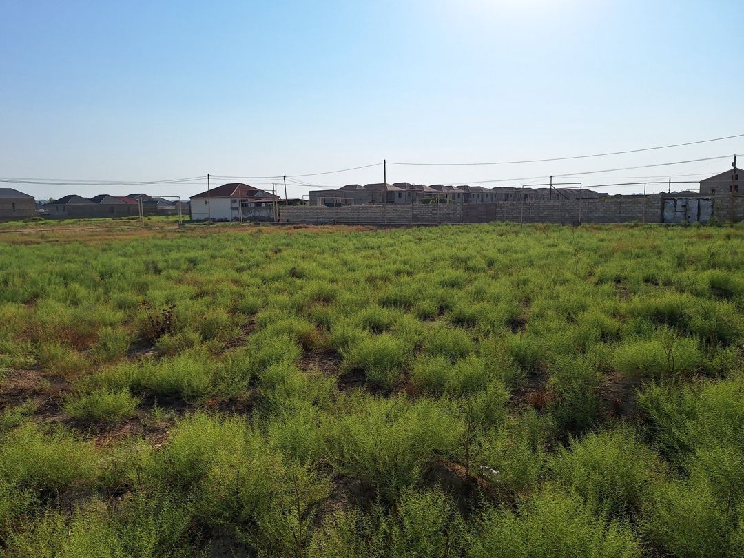 Satılır torpaq 20 sot — Torpaq, Bakı (7)