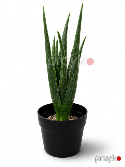 Süni Aloe vera, Plastik, Yaşıl — Bakı