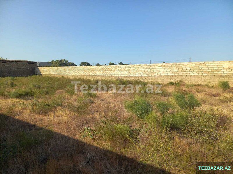 12 sot torpaq satılır, Zirə (Dəniz kənarı) — Torpaq, Bakı (7)