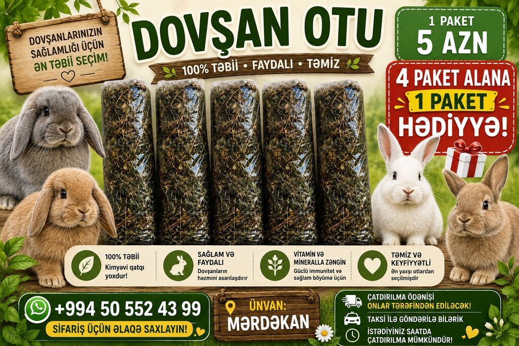1 aylıq holland balaca Özel İki dovşan götürsəniz, bir-birlərinə — Dovşanlar, Digah (8)