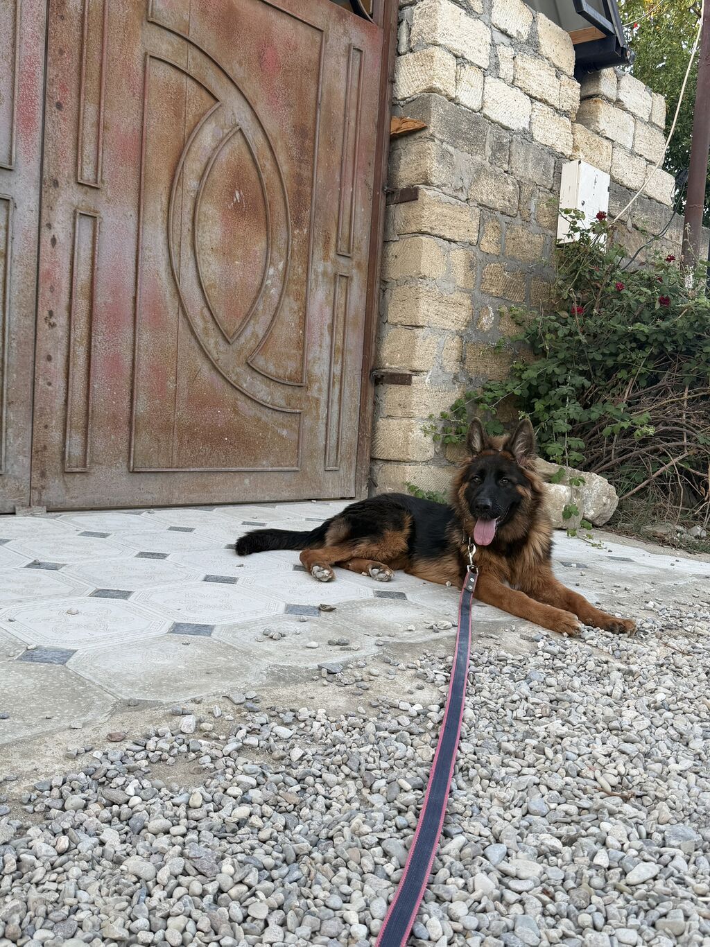Salam kirayə ev axtarıram yeni tikiliyə üstünlük verilir Sumqayıtda — Mənzil, Sumqayıt (2)