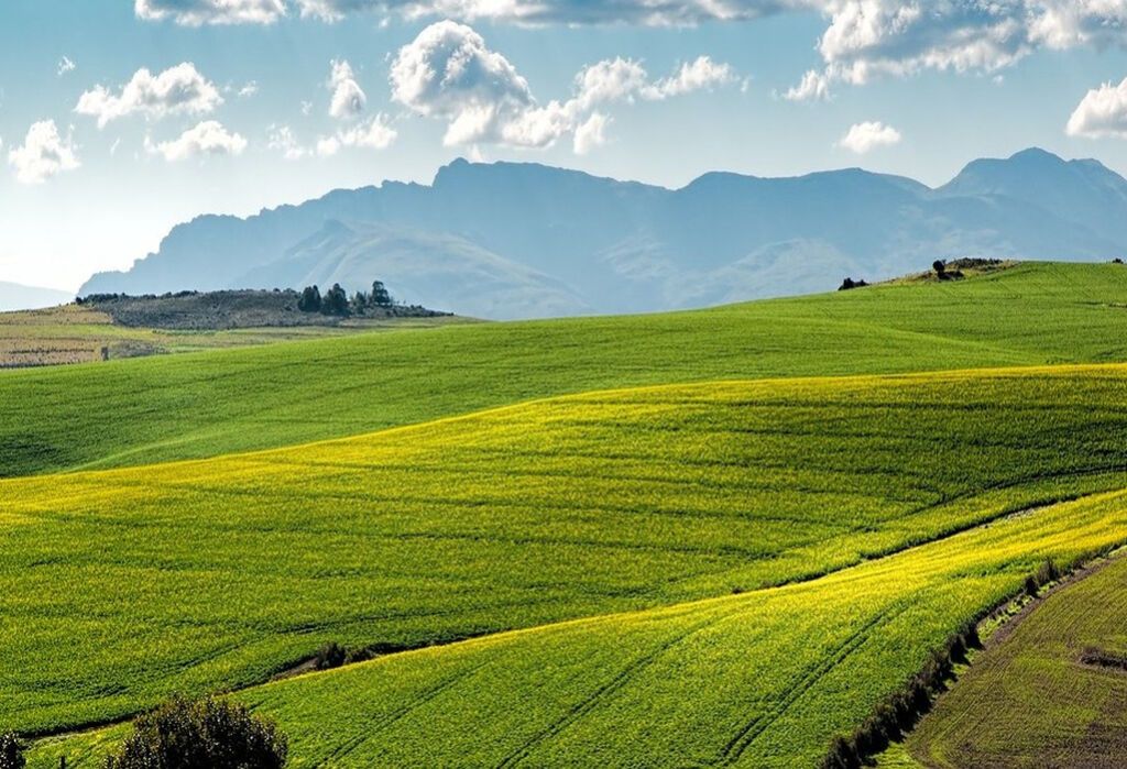 2 sot, Kənd təsərrüfatı, Barter mümkündür, Kupça (Çıxarış) — Torpaq, Salyan