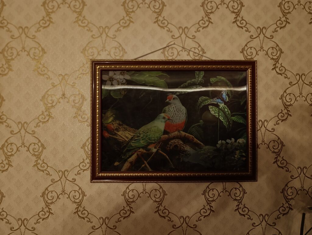 3D Stereo Çərçivəli Tablo, Panno 40x55 Çox maraqlı və gözəl dizayna — Şəkillər, plakatlular və çərçivələr, Xırdalan (2)