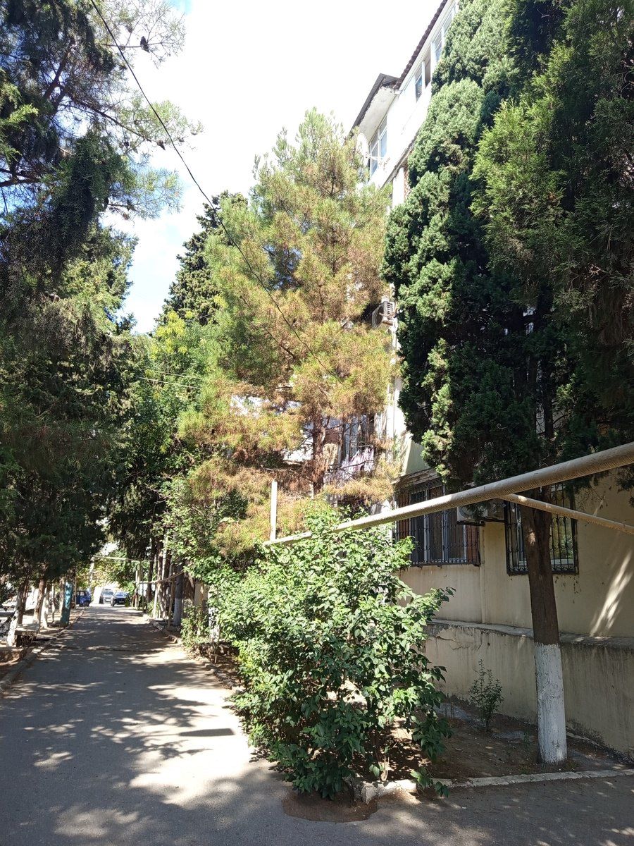Satılır 2 otaqlı köhnə tikili 48 m² — Mənzil, Bakı (2)
