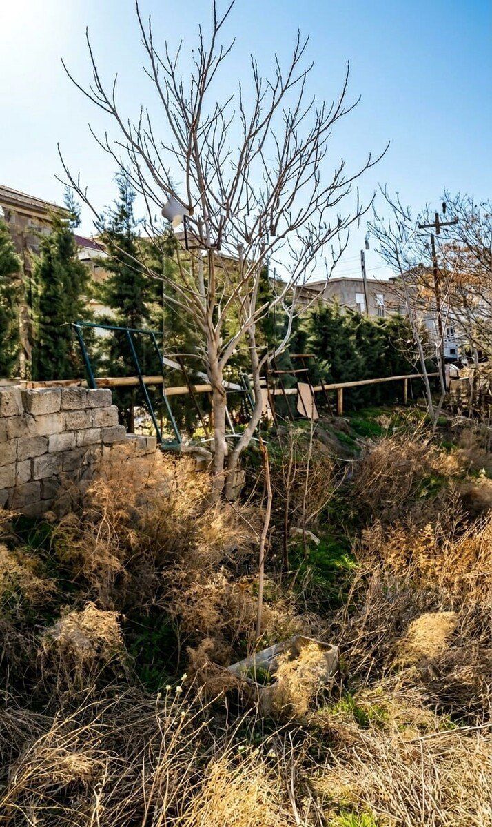 Satılır torpaq 9.6 sot — Torpaq, Bakı (4)