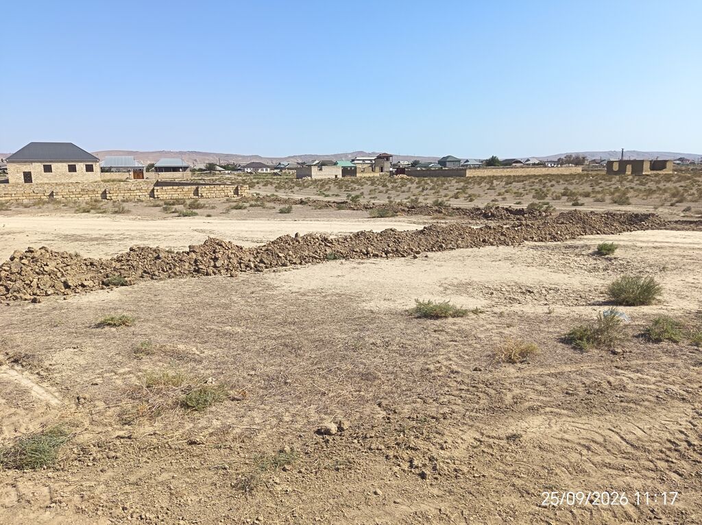 Tikinti — Torpaq, Şirvan (5)