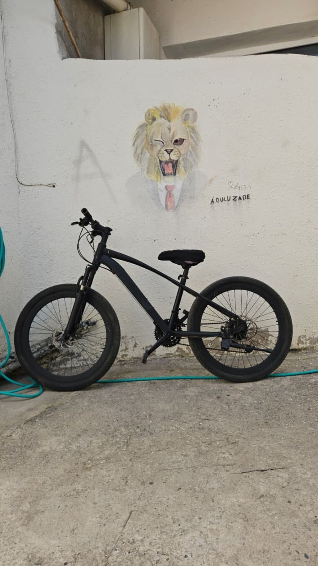 Şəhər və off-road üçün çox yönlü dağ velosipedi. real alıcıya endirim — Dağ velosipedləri, Masazır (6)