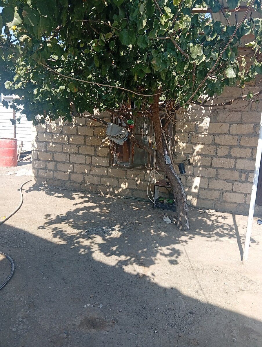 Həyət evi, Bərdə r — Ev, villa, Bərdə (7)