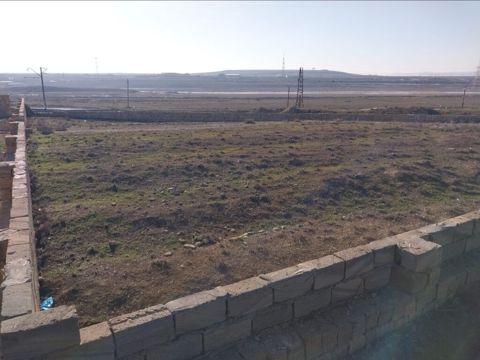 7 sot, Tikinti, Kupça (Çıxarış) — Ceyranbatan
