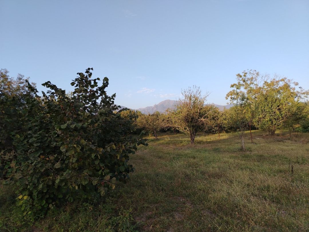 29 sot torpaq sahəsi, Qəbələ ş — Torpaq, Qəbələ (2)