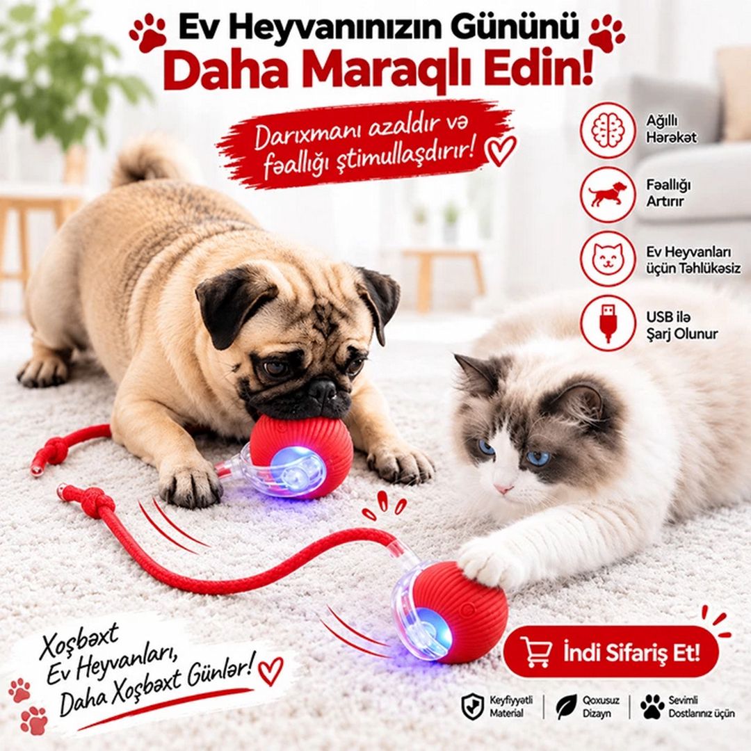 Pişik və İtlər üçün Ağıllı İnteraktiv Oyuncaq EB_1438 — Mallar, Bakı (2)