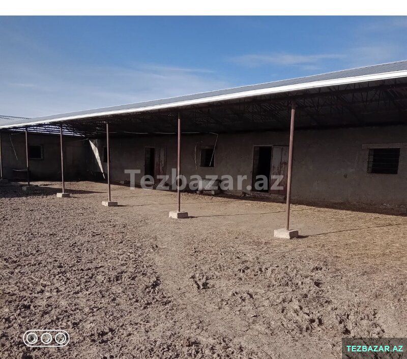 Salyanda Ferma Satılır — Torpaq, Salyan (3)