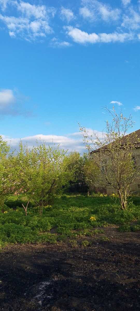 Həyət evi, Quba r — Ev, villa, Quba (4)